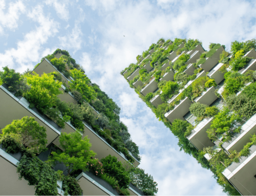 Climate Resilient Cities: Innovations for Smarter, Safer Urban Living
