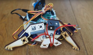 crawlbot