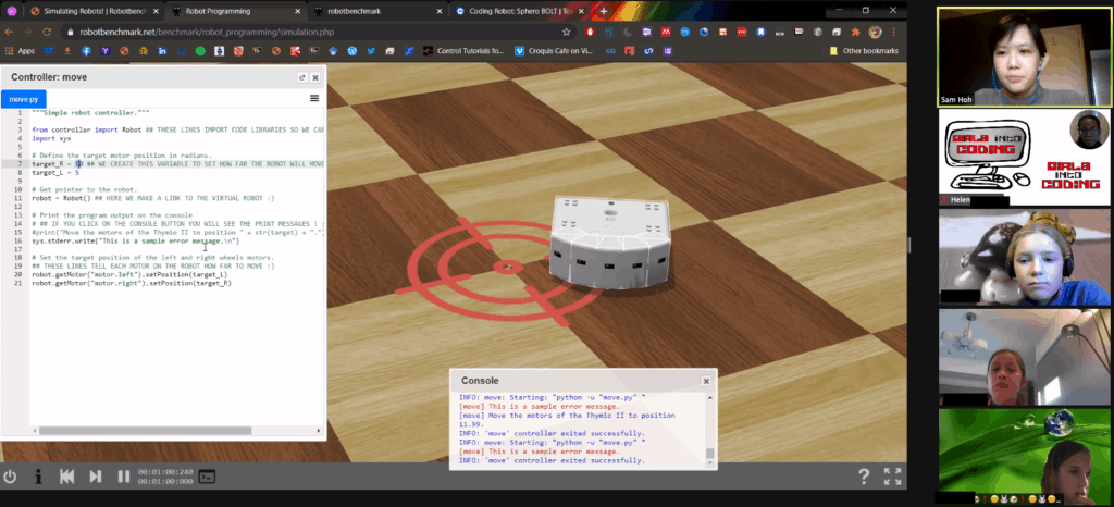 Robot simulator workshop